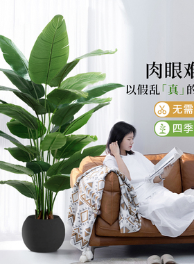 6A级仿真绿植高端轻奢大落地摆件