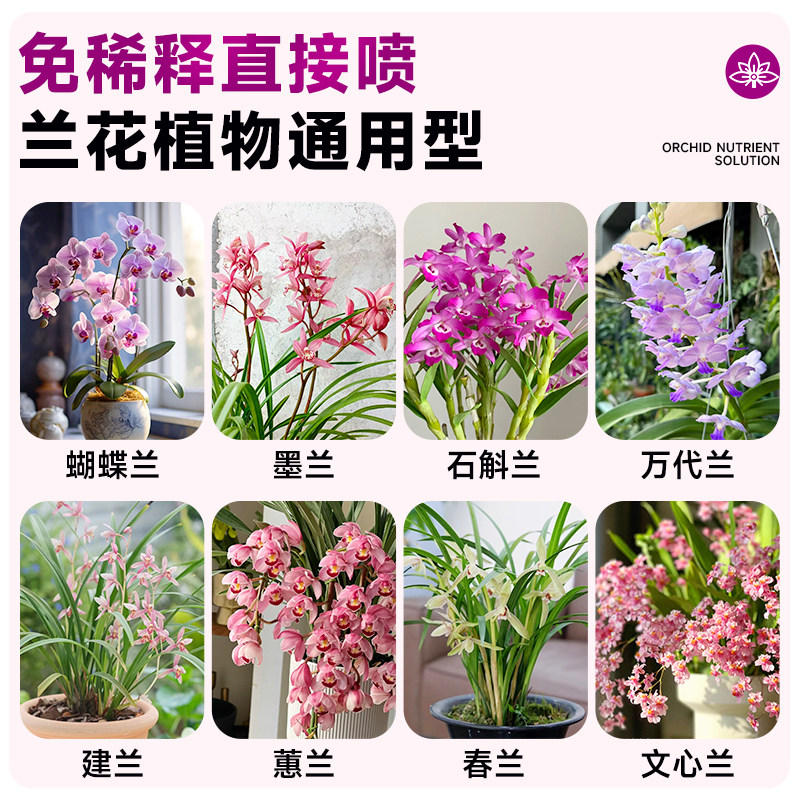 兰花多箭素兰灵王蝴蝶兰蕙兰爆芽素多剑王生根发芽开花专用营养液,淘宝优惠券,粉丝福利购,淘宝优惠卷