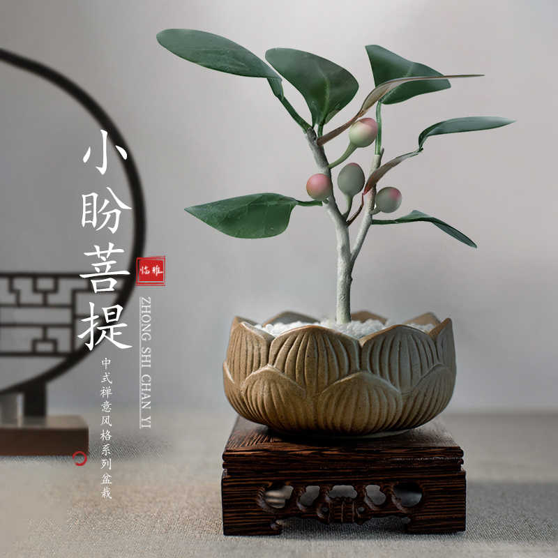 室内盆栽花盆 新人首单立减十元 22年7月 淘宝海外