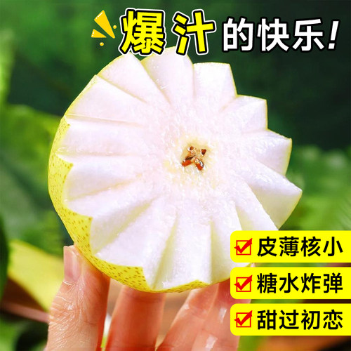 桂花梨树果苗嫁接苗苹果秋月梨当年结果南北方庭院种植盆栽果树沙 - 图2