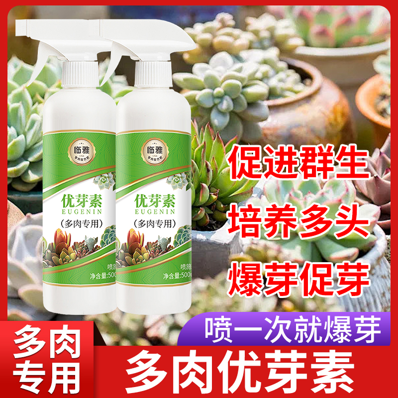 临雅优芽素多肉专用爆芽素营养液肥料绿植物催芽促群生矮胖素花卉-图3