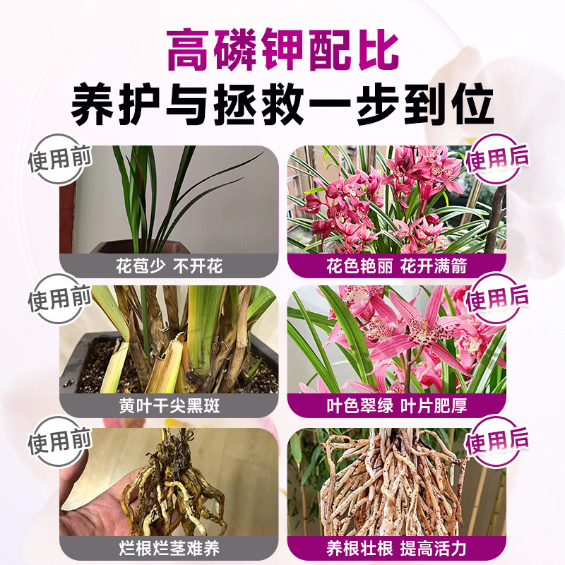 兰花多箭素兰灵王蝴蝶兰蕙兰爆芽素多剑王生根发芽开花专用营养液,淘宝优惠券,粉丝福利购,淘宝优惠卷