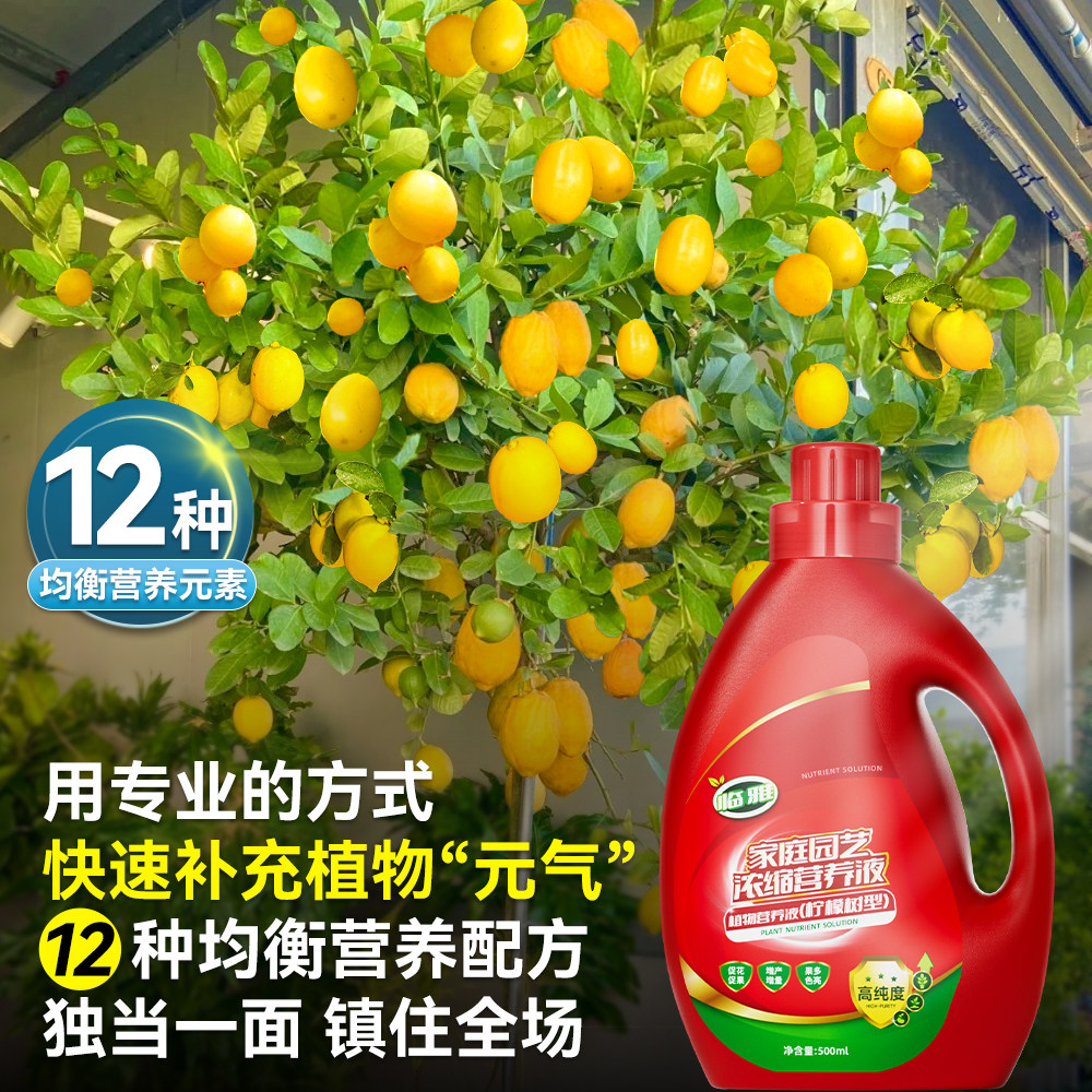 柠檬树营养液室内盆栽绿植物营养液通用型花卉柠檬树盆栽树苗肥料,淘宝优惠券,粉丝福利购,淘宝优惠卷