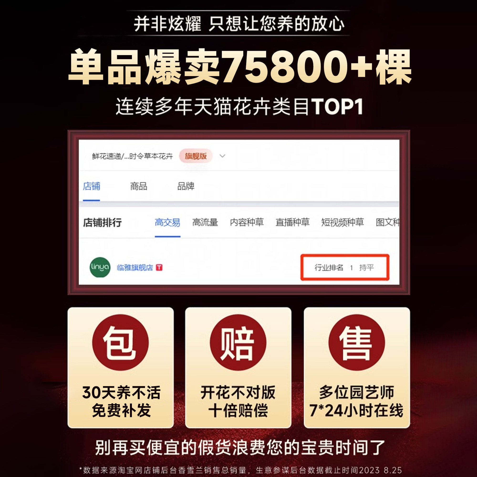 三角梅盆栽重瓣四季绿漳红樱爬藤植物矮桩阳台树苗耐寒老桩带花卉,淘宝优惠券,粉丝福利购,淘宝优惠卷