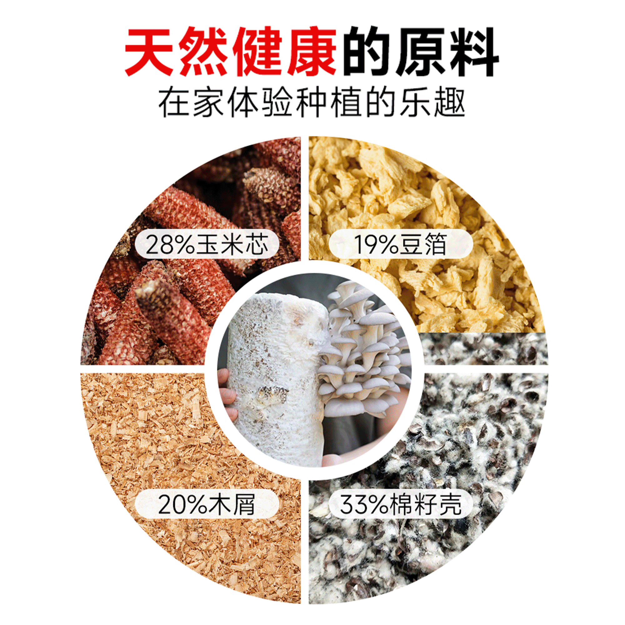 蘑菇种植包新鲜菌种菌菇黑平菇种植菌包食用菌菇棒家庭自种小盆栽,淘宝优惠券,粉丝福利购,淘宝优惠卷