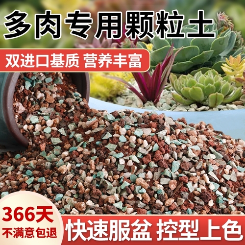 多肉营养土颗粒专用土壤种植多肉土养花通用型泥炭植物花土铺面石