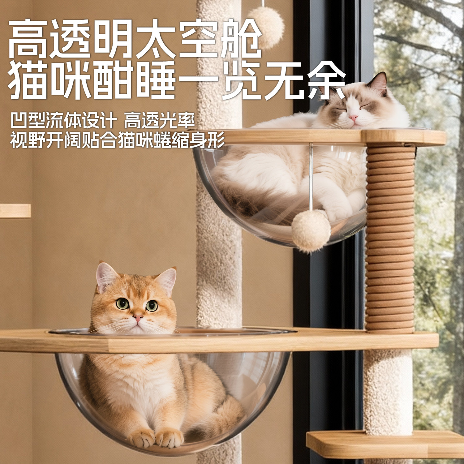 图4