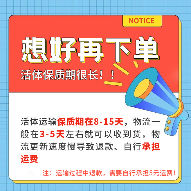 宠物相手相守蟹活体螃蟹冷淡水可养动物观赏蟹桌面宠物爬宠寄居蟹 - 图1