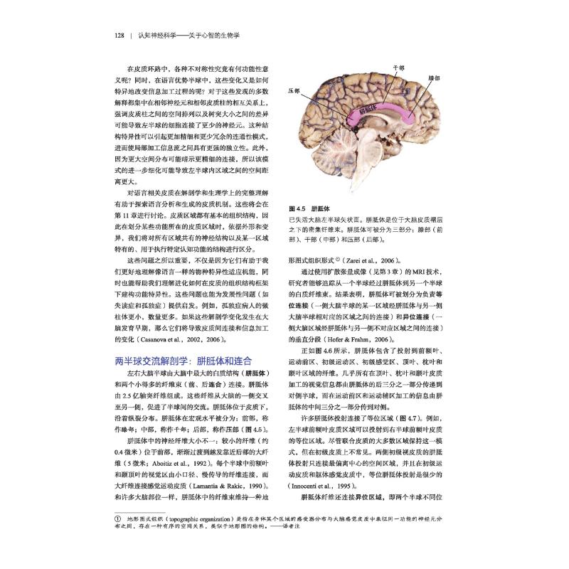 认知神经科学关于心智的生物学原著第5版(美)迈克尔·S.加扎尼加,(美)理查德·B.伊夫里,(美)乔治·R.曼根著周晓林等译-图2