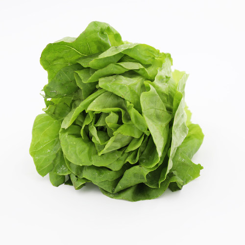 新鲜奶油生菜250-500g 波士顿生菜生吃沙拉蔬菜西餐色拉食材配菜 - 图0