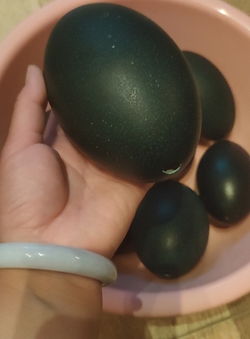 鸸鹋蛋,蛋壳可以桌摆,彩绘雕刻