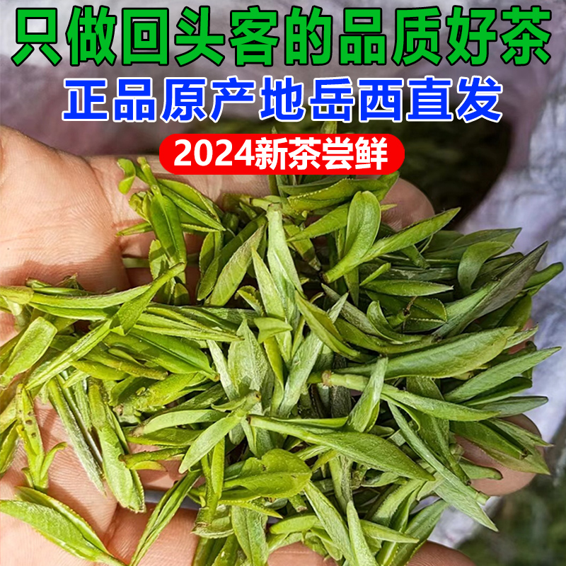 岳西翠兰绿茶2024新茶翠兰安庆岳西茶叶安徽毛峰茶叶绿茶岳西炒青 - 图0