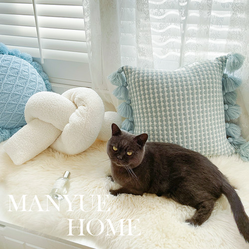 蔓越家 北欧ins风客厅沙发飘窗毛绒装饰枕抱枕靠垫腰枕不含芯靠背 - 图1