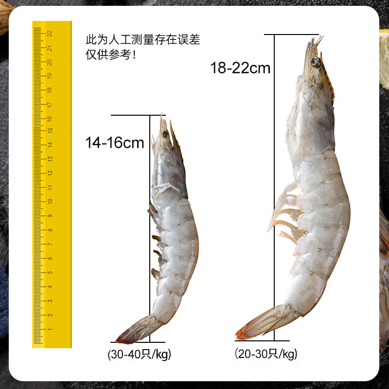 大虾鲜活超大基围虾厄瓜多尔海虾特大青虾速冻海鲜水产生鲜冻白虾 - 图2