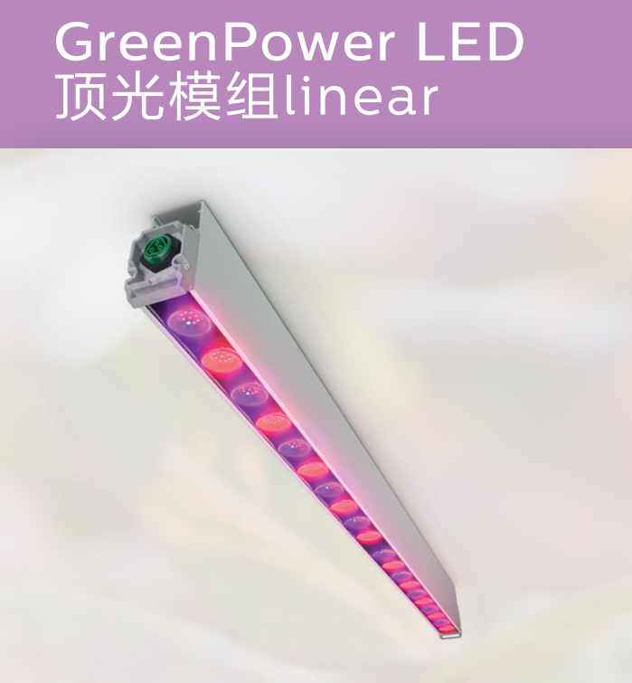 现货飞利浦植物生长灯GPL TLL 1000 DRW-LB 400V 315W LED生长灯