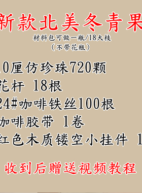 鲤鱼北美冬青果diy串珠材料包
