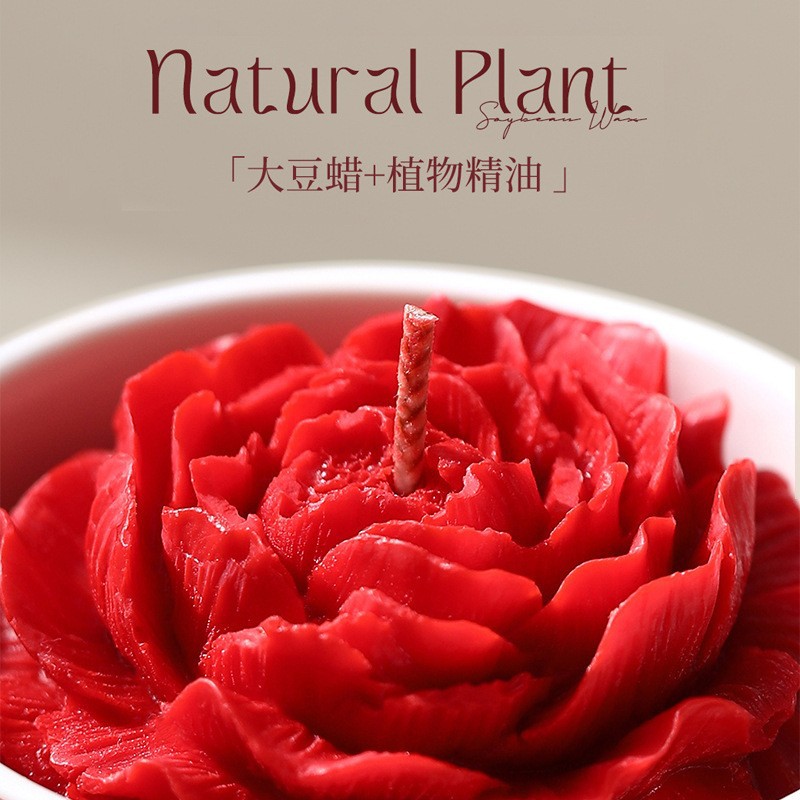 山茶花香薰蜡烛礼盒高级感生日新婚礼物伴手礼送女生朋友氛围家用