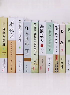 新中式风样板房家具摆设仿真书