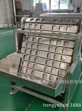 自动碎壳剥壳鸟蛋全自282动皮剥壳机 鹌鹑蛋壳机剥 小型鸡蛋剥设