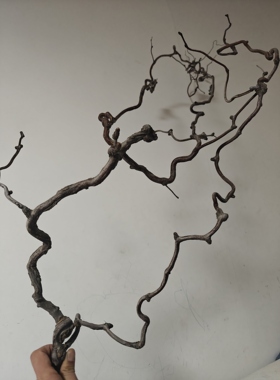 龙枣树干枝造型自然枯枝造型