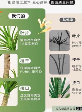 龙血树仿真绿植龙须树龙铁树客厅装饰室内大型假植物盆栽落地摆件