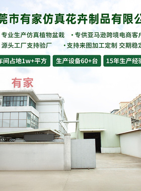 仿真植物橄榄树盆栽家居客厅室内落地大型绿植橱窗商场装饰假树