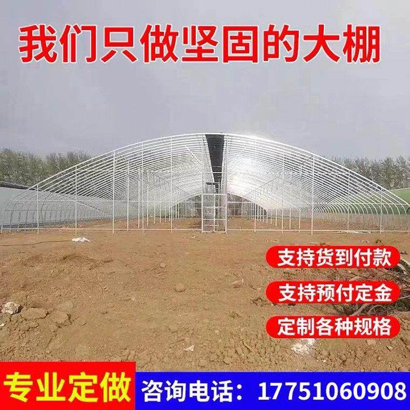 大棚骨架钢管温室农业蔬菜种植大棚配件大全牛羊家禽养殖大棚全套,淘宝优惠券,粉丝福利购,淘宝优惠卷