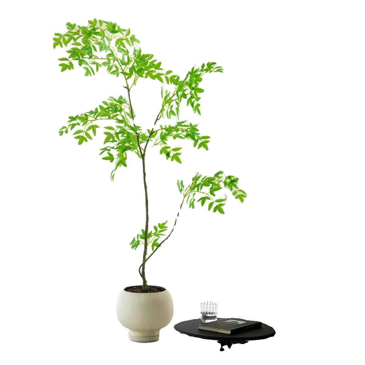 大型客厅落地摆件室内沙发电视柜旁边假植物南天竹彷真绿色植物摆,淘宝优惠券,粉丝福利购,淘宝优惠卷