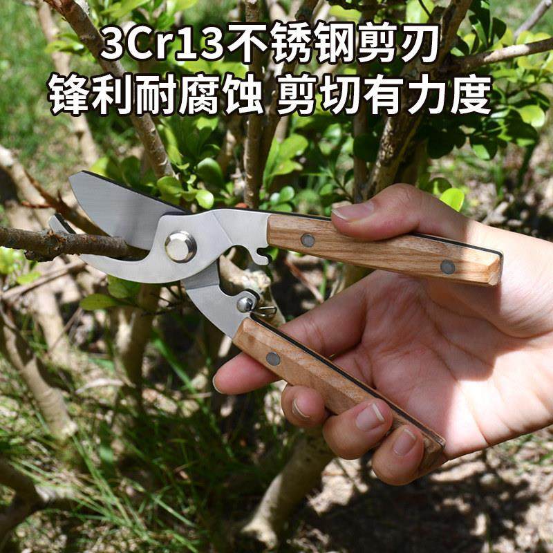 不锈钢家用果树修枝剪园艺剪花枝花艺剪花奔强力户外强力摘果剪刀,淘宝优惠券,粉丝福利购,淘宝优惠卷