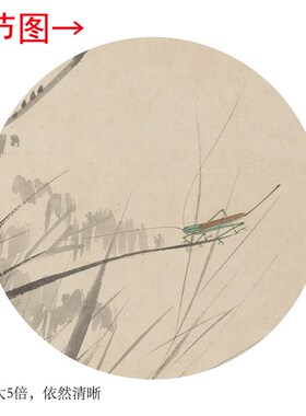 于非闇《草木虫蚁》客厅书房茶室装饰画挂画玄关水墨高清卷轴字画