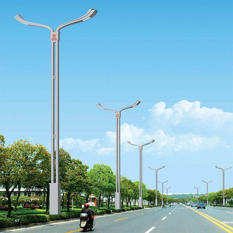 户外防水防锈市电路灯厂家直销6-10米特色文旅LED路灯,淘宝优惠券,粉丝福利购,淘宝优惠卷