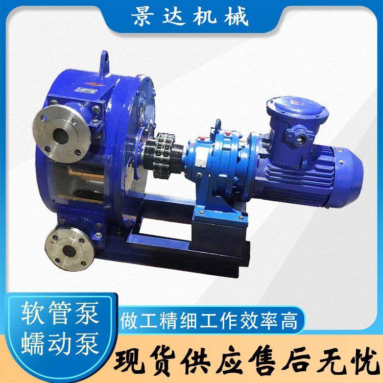 蠕动泵污泥污水排污泵高扬程输送泵颗粒耐腐蚀软管泵加工 - 图1