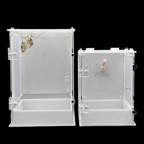 螳螂饲养盒磁吸开门造景活体昆虫树蛙爬虫鸣虫跳蛛宠物饲养箱箱网 - 图3