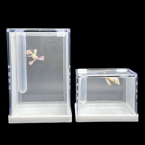 螳螂饲养盒磁吸开门造景活体昆虫树蛙爬虫鸣虫跳蛛宠物饲养箱箱网 - 图1