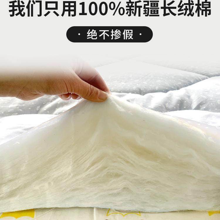 李奶奶新疆棉花被子被芯100%新疆长绒棉盖被棉絮全棉春秋空调冬被,淘宝优惠券,粉丝福利购,淘宝优惠卷