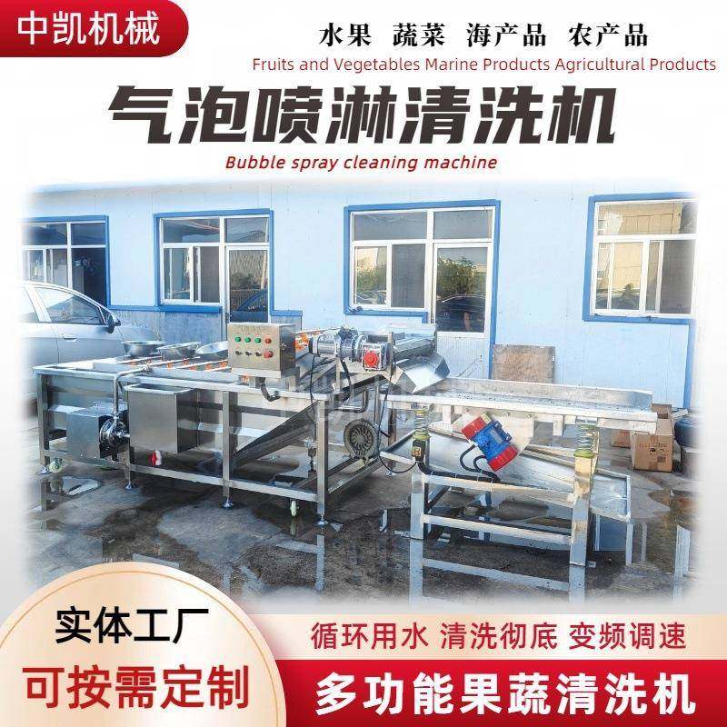 净菜加工气泡清洗机红枣辣椒果蔬气泡清洗机高压喷淋果蔬清洗设备,淘宝优惠券,粉丝福利购,淘宝优惠卷