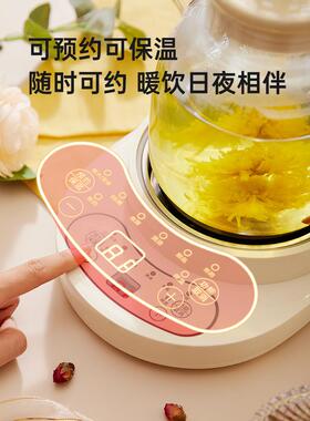健康壶家用多功能玻璃水壶茶壶水果茶壶办公室小迷你花茶壶