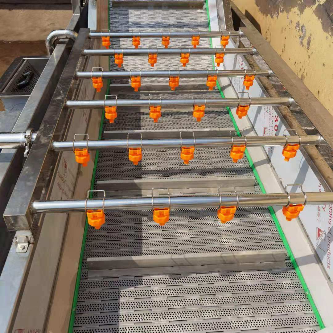 海鲜气泡清洗机 不锈钢全自动水果蔬菜清洗机 海带鱼虾类清洗设备,淘宝优惠券,粉丝福利购,淘宝优惠卷