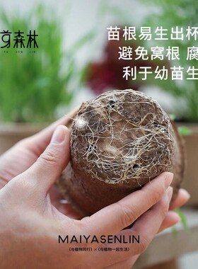 可降解纸浆育苗盆育种花盆营养盆培养盆营养钵定植盆营养杯育苗杯