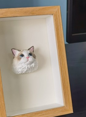 宠物猫咪定制室内家居相框摆件布偶英短美短加菲手绘宠物纪念饰品