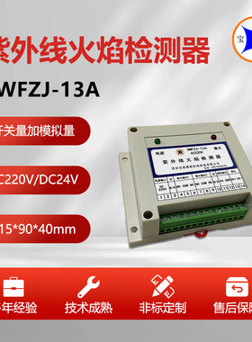 宝威燃控加热炉火检裂解炉火焰监测器BWFZJ-13A