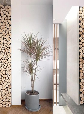 壁炉装饰木头原木l小木桩木材木柴围栏木头栅栏实木树桩摆件圆木