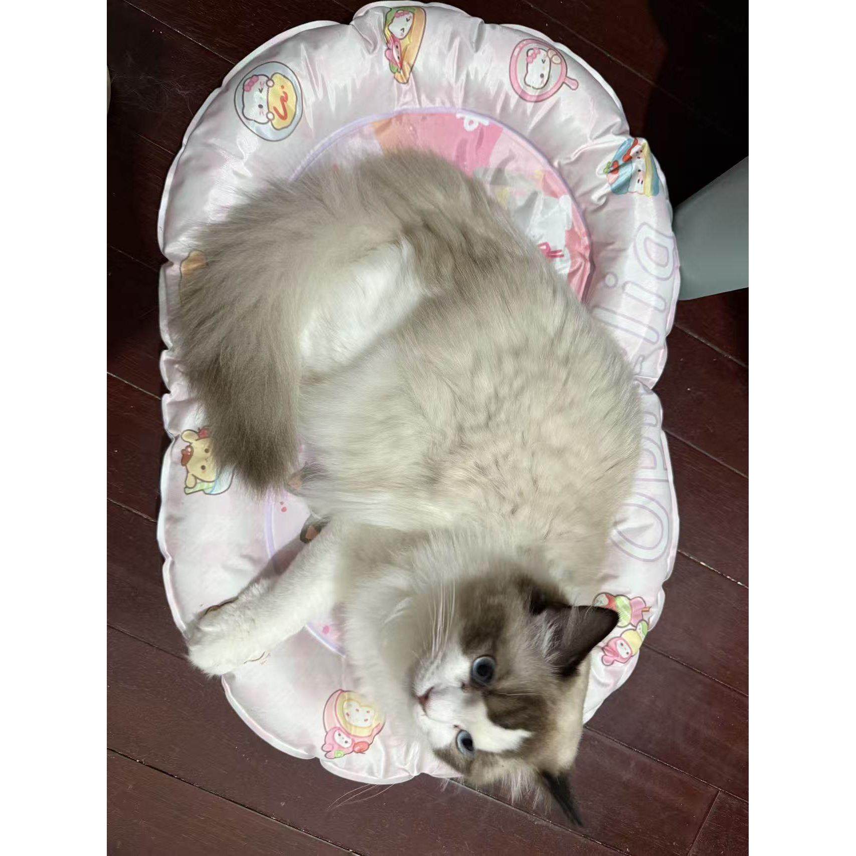 奥菲利亚2025新品可爱宠物冰垫冰窝降温猫窝狗窝耐磨耐抓,淘宝优惠券,粉丝福利购,淘宝优惠卷