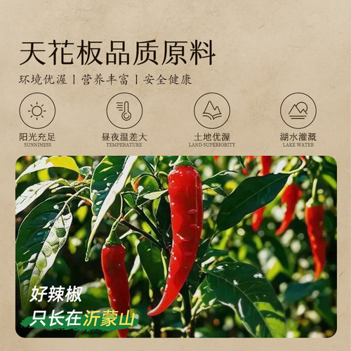 边家干煸辣肉丝沂蒙猪肉辣椒酱蒙阴临沂下饭菜香脆油辣椒246克/瓶 - 图2