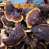 [23 года новых товаров] Дикий лес Чанбай вниз по золоту