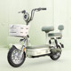 Emma electric bike 48V lead-acid electric bike