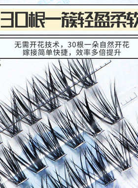 新款0.05单簇自己嫁接睫毛超软30D朵毛浓密款水貂毛种植假眼睫毛