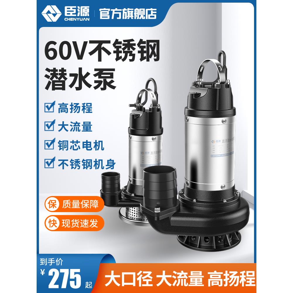 直流潜水泵48V60V家用电动车农用小型12V24V电瓶抽水泵高扬程