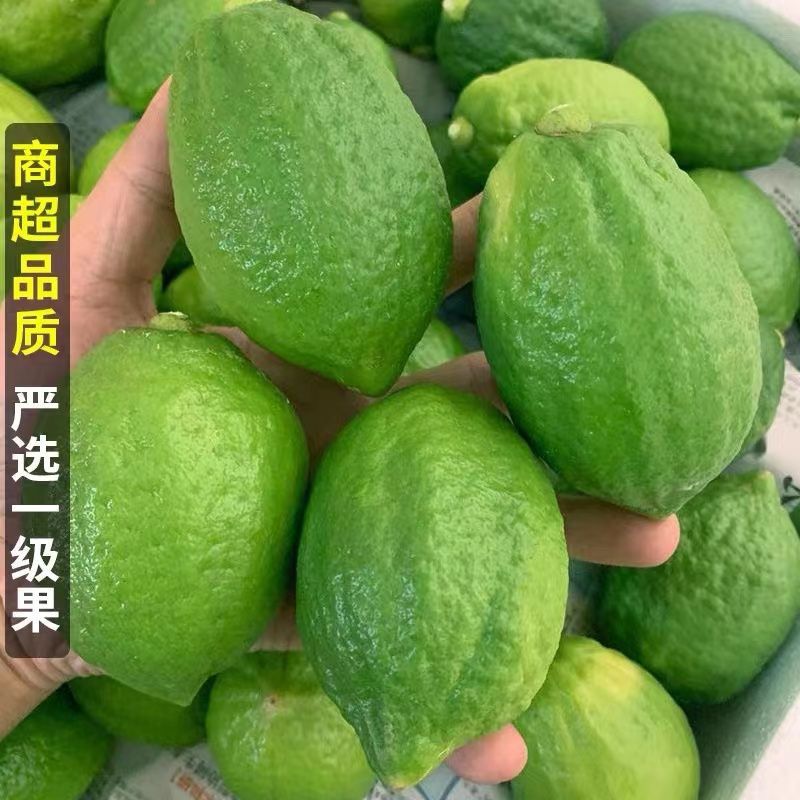 广东无籽香水青柠檬5斤新鲜四季水果奶茶店用鲜柠檬多汁整箱包邮-图0