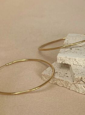 Stainless Steel 12-70mm Minimalist Big Circle Hoop Earrings